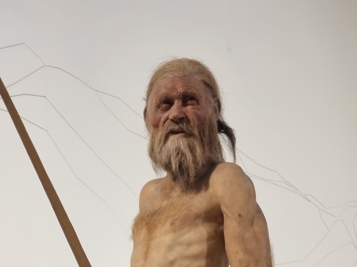 The Window into&nbsp;Ötzi